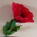 Jackie Willis - Facebook