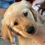 Jackie Withrow - @jackiewithrow1205 - Instagram