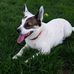 Jackie Woosley - Facebook