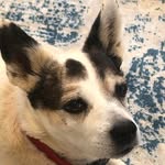 Jackie Woosley - @woosleyjackie - Instagram