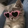 Jacklyn Ashley - @jacklyn_ashleyyy - TikTok