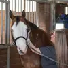Handheld Intentions - @jacklynbarnes - TikTok