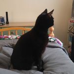 Jacklyn Hall - @jacklynhall5 - Instagram