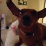 Jacklyn Hill Gohlke - @jg8057 - Instagram