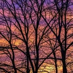Jacklyn Keith - Facebook