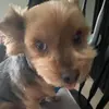 jacklyn - @jacklyn_kim - TikTok