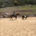 Jacklyn Lambert - Facebook