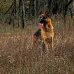 Jacklyn Larson - @winobe5009 - Instagram