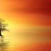Jacklyn Levy - Facebook