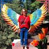 jacklynelittle - @jacklynelittle - TikTok
