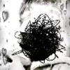 Jacklyn Mayo - @jacklynmayo - TikTok