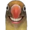 jacklynoliverr - @jacklynoliverr - TikTok