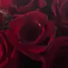 Jacklyn Sanchez - @jacklyn_012 - TikTok