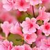 Jacklyn Swift - Facebook