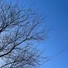 Jacklyn_turner - @jackyturner1289 - TikTok