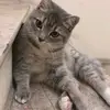 Dương Chiến Bích - @jacklyn.welch - TikTok