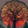 Jackson Abbott - @jackson_abbott1283 - TikTok