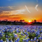 Jackson Abbott - Facebook