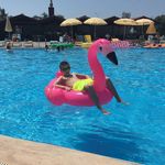 Jackson Alexander - @jackson29806 - Instagram