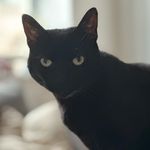 Jackson Alexander - @_noflag - Instagram