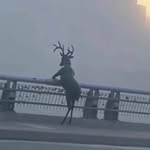 Jackson Allison - @jackson22222222222222_._ - Instagram
