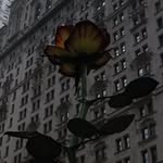 Jackson Avila - @jack_photography10 - Instagram