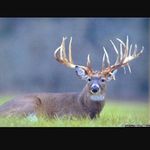 Jackson Baldwin - @jacksonbaldwin06 - Instagram