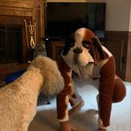 Jackson Barlow - Facebook