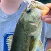 Jackson - @jacksonbarrows - TikTok