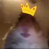 Jackson Barry - @jackson6969694 - TikTok