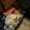 Jackson bass - @jackson.bass4 - TikTok