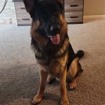 Jackson Bender - Facebook