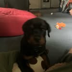 @jackson_blankenship_ - Instagram