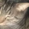 Jackson Bohn - @jackson.bohn - TikTok