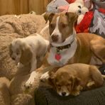 Jaxson Bosley - Facebook