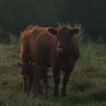 Jackson Bowen - @jsfarms18 - Instagram