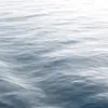 Jackson Bowman - @jackson.bowman0 - TikTok