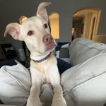 Jackson Boyer - @jackson.boyerr - Instagram