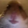 jacksonwarbritton - @jacksonwarbritton - TikTok