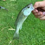 Jackson burger - @jacksonburger_cj - Instagram