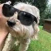 Jackson Burger - @jackson.burger_ - TikTok
