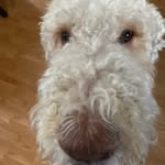 Jackson Burke - @jackson_burke3636 - Instagram