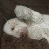 Jackson Burke - @jackson.burke46 - TikTok