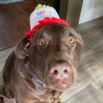 Jackson Burnette - @jdburnette2005 - Instagram