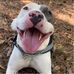 Jackson Burnette - Facebook