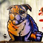 Jackson Burnette - @the_burnette_dogs - Instagram