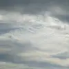 Bus_Boy - @jacksonbusse - TikTok
