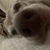 jackson_caldwell2 - @jackson_caldwell2 - TikTok