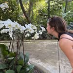 Anna Jackson - @annacalvertjackson - Instagram