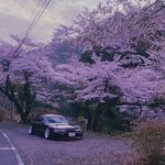 jackson carpenter - @jackssonnc - Instagram
